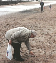 spirituality and aging finds an outlet even picking up shells on the beach